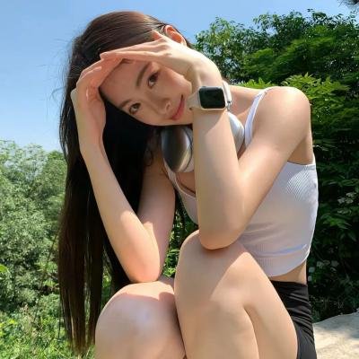 飞盘犬